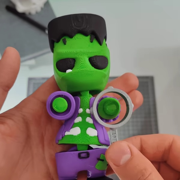FRANKENSTEIN FLEXI-0