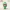 Christmas Elf Girl Buddy | Santa’s Little Helper Elf