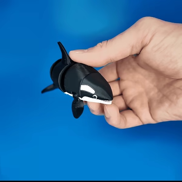 Flexi killer whale