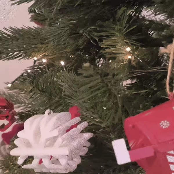 The Flips - Santa Present