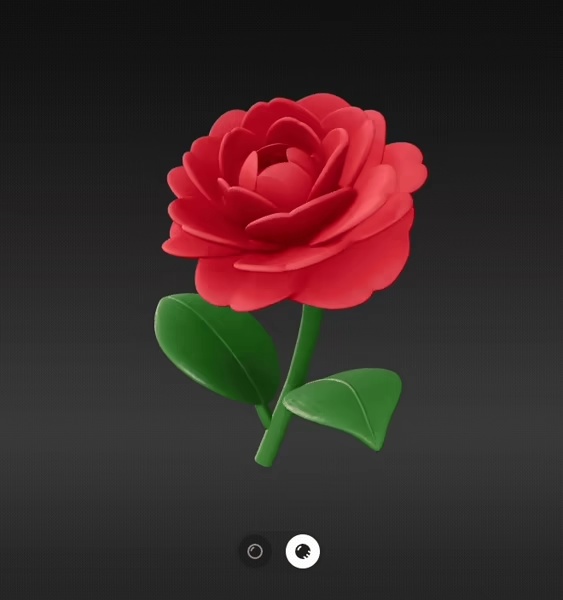 Camelia flower-0