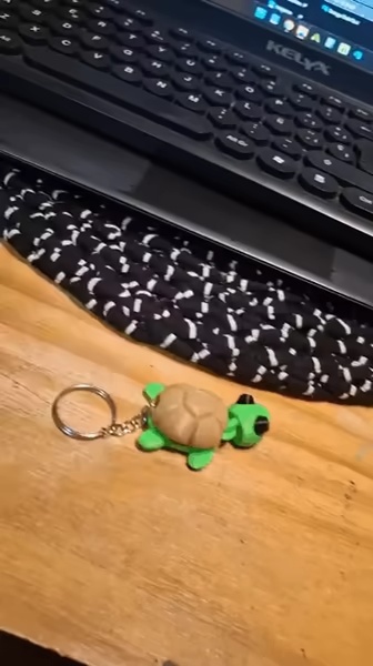Tortuga flash flexi-1
