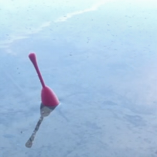 Fishing float