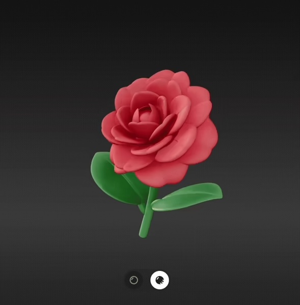Camelia flower-0