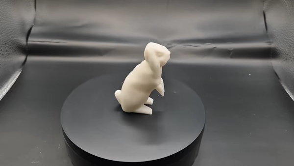 Lapin bélier-0