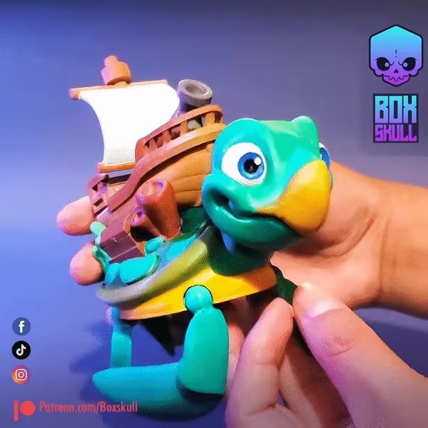 TURTLE - FLEXI-1