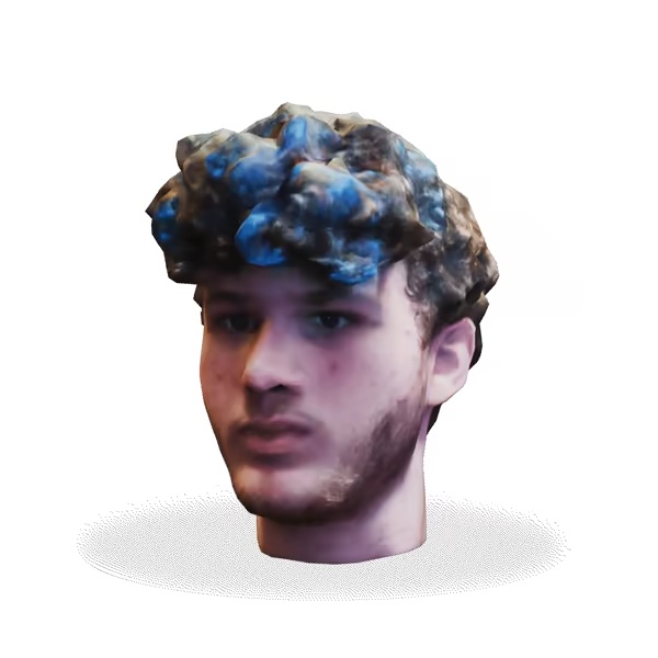 Jmancurly head-0
