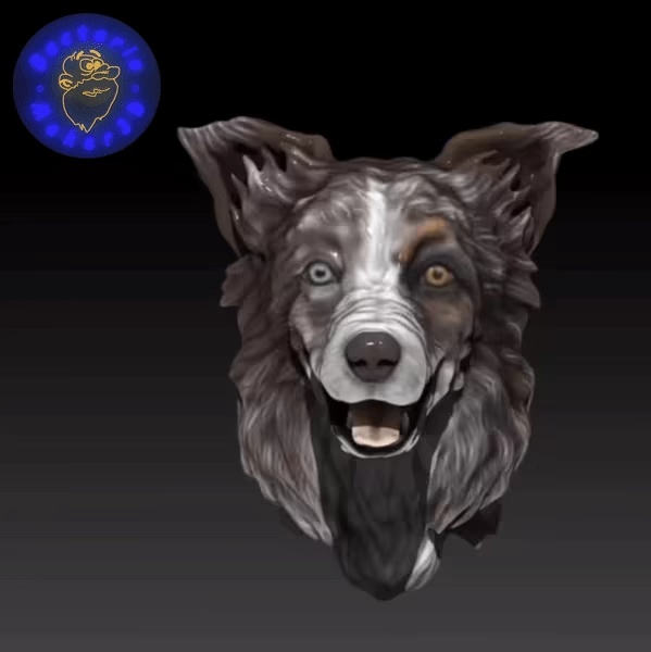 BORDER COLLIE HEAD-1