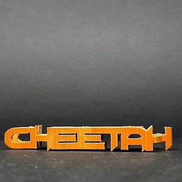 Text Flip - Cheetah-0