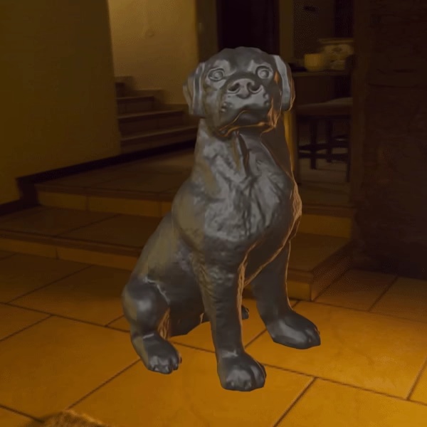 Dog Rottweiler-0