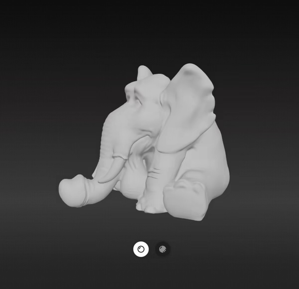 Eléphant Pénis face-1