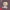 ヴァロラント - ベビーデッドロック