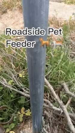 Mangiatoia per animali a bordo strada-0