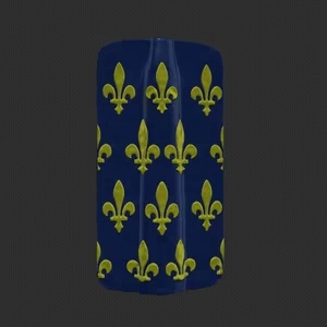 Bouclier pavois france fleur de lys