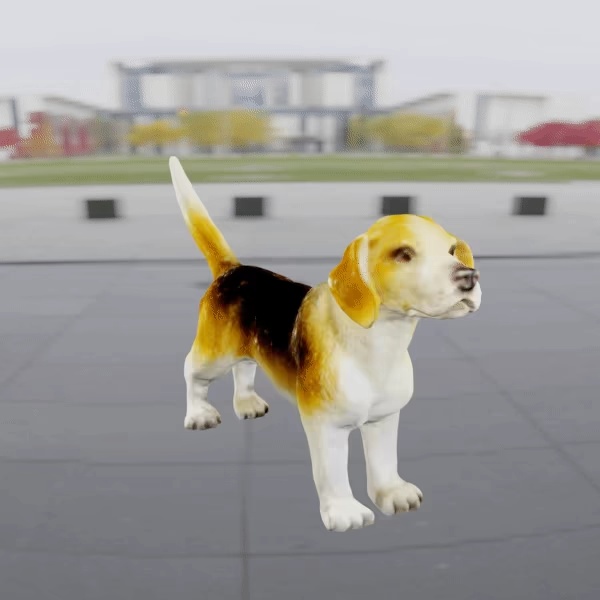Dog beagle-0