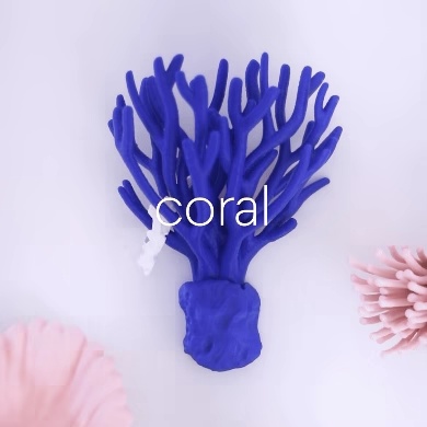 Staghorn Coral