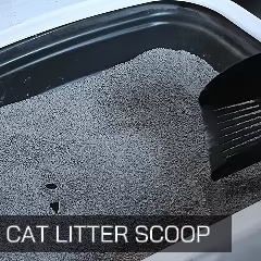 Kedi kumu kepçesi
