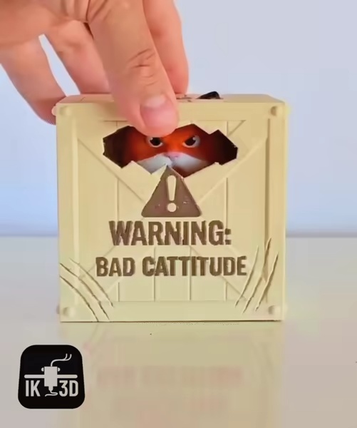 Cat Middle Finger with Surprise Crate-1