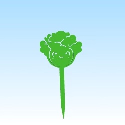 seedling mark cabbage / etiquette semis choux
