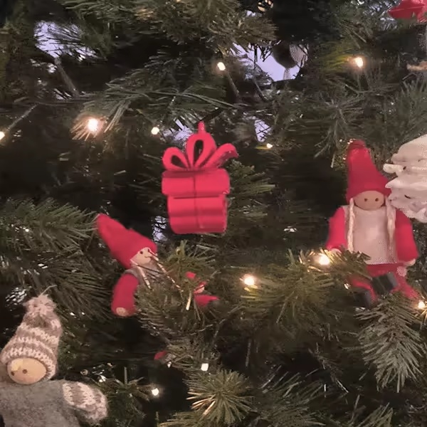 The Flips - Santa Present-2