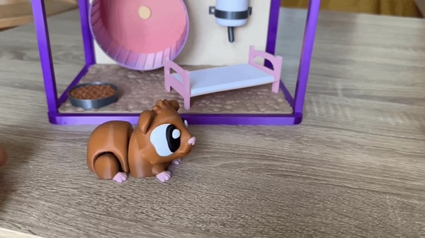 Guinea pigs world-1