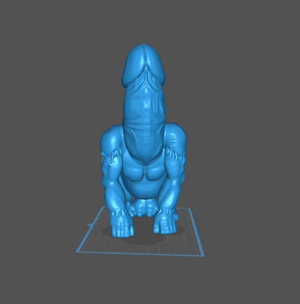 Gorilla penis face-0