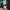 File AMS per stampa 3D di Mococo Abyssgard Fuwamoco Hololive Advent