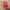 Nozul kum kalıbı