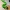 Flexi Gearticuleerde Slang Bush Viper