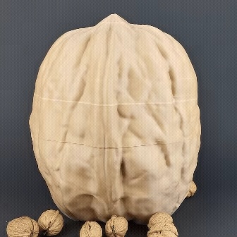 Walnut Container | Print-in-place | No Support