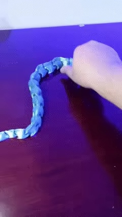 eel flexi