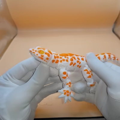gecko_flexi