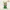 Loki – God of Mischief