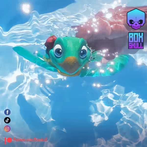 TURTLE - FLEXI-2