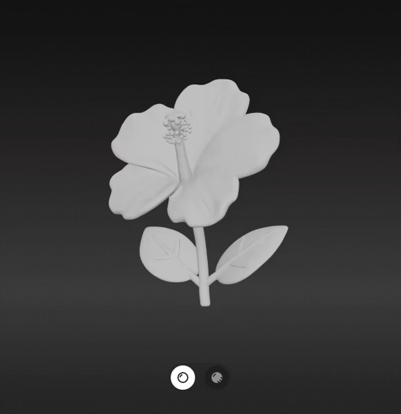 Hibiscus flower-1