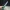Resident Evil 4 Remake – Leon S. Kennedy Combat Knife