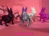 JUMPING BUNNY!!!-0