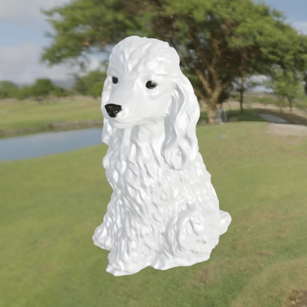 Dog Poodle Caniche