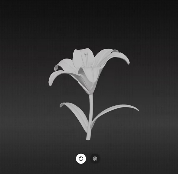 Lily Flower-1