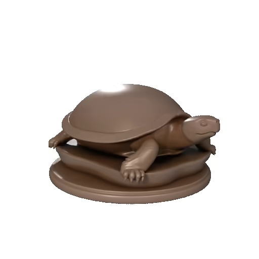 Tortoise / Schildkröte-1