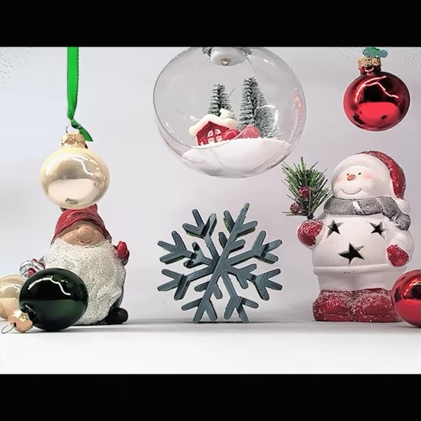 Capovolgimento del testo: Fiocco di neve - 2025