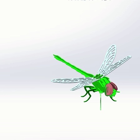 Dragonfly 3D Puzzle-1