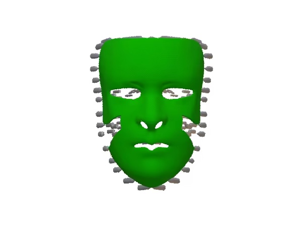 Face Mass-2
