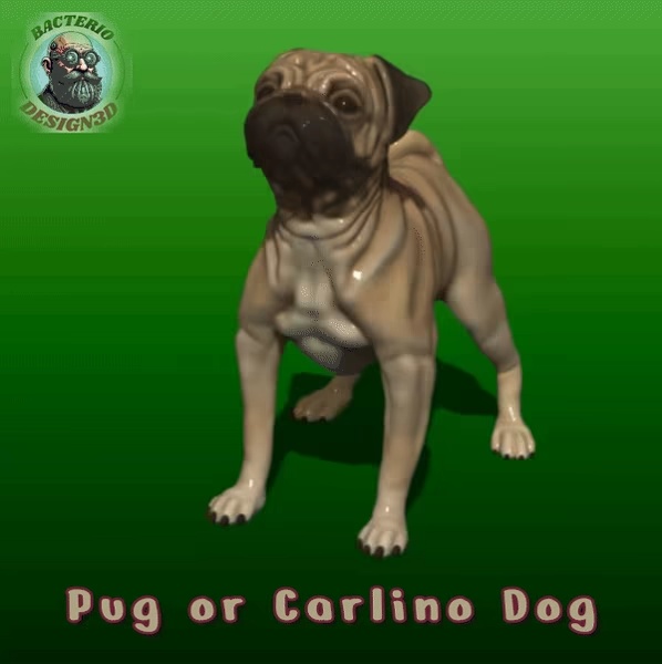 JEUNESSE PUG-0