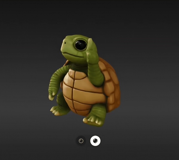 Tortue F**k