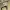 Dr. Krinkle Body (Dummy 13 Compatible) Yeti Mic Mod