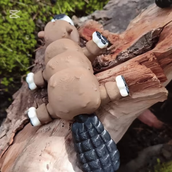 Castor flexible