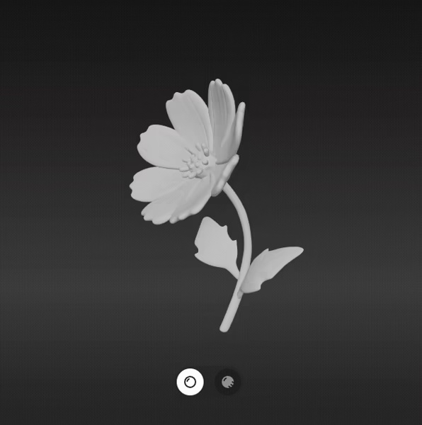 Fleur de Cosmos-1