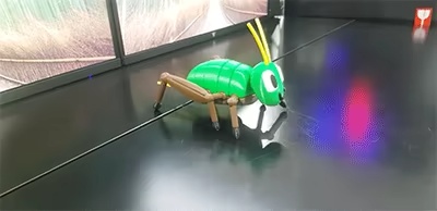 🦗🦗🦗The cute articulated Cricket🦗🦗🦗