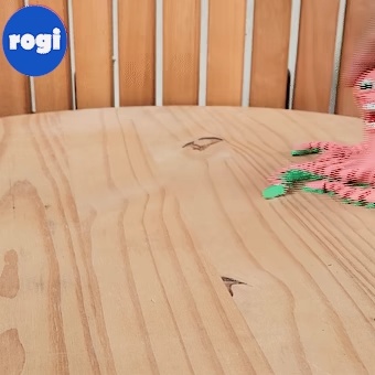 CRAZY OCTOPUS-0